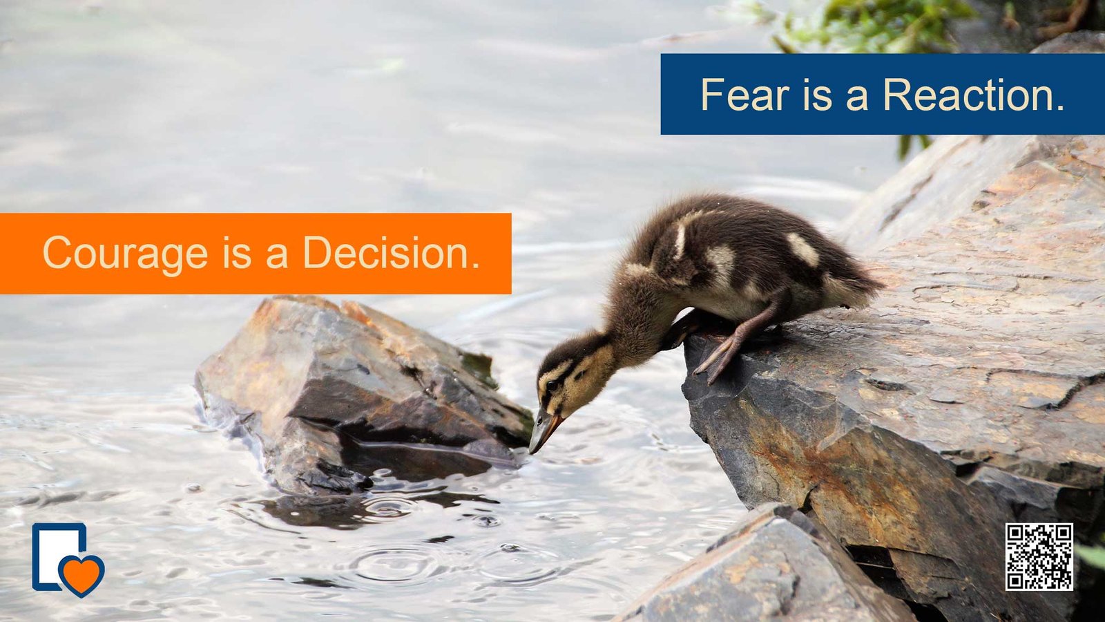 Fear is a Reaction - Courage is a Decision -Anonymous