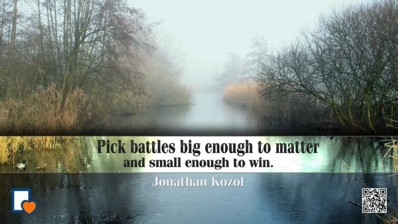 Pick Battles Big Enough to Matter, but Small Enough to Win. -Jonathan Kozol