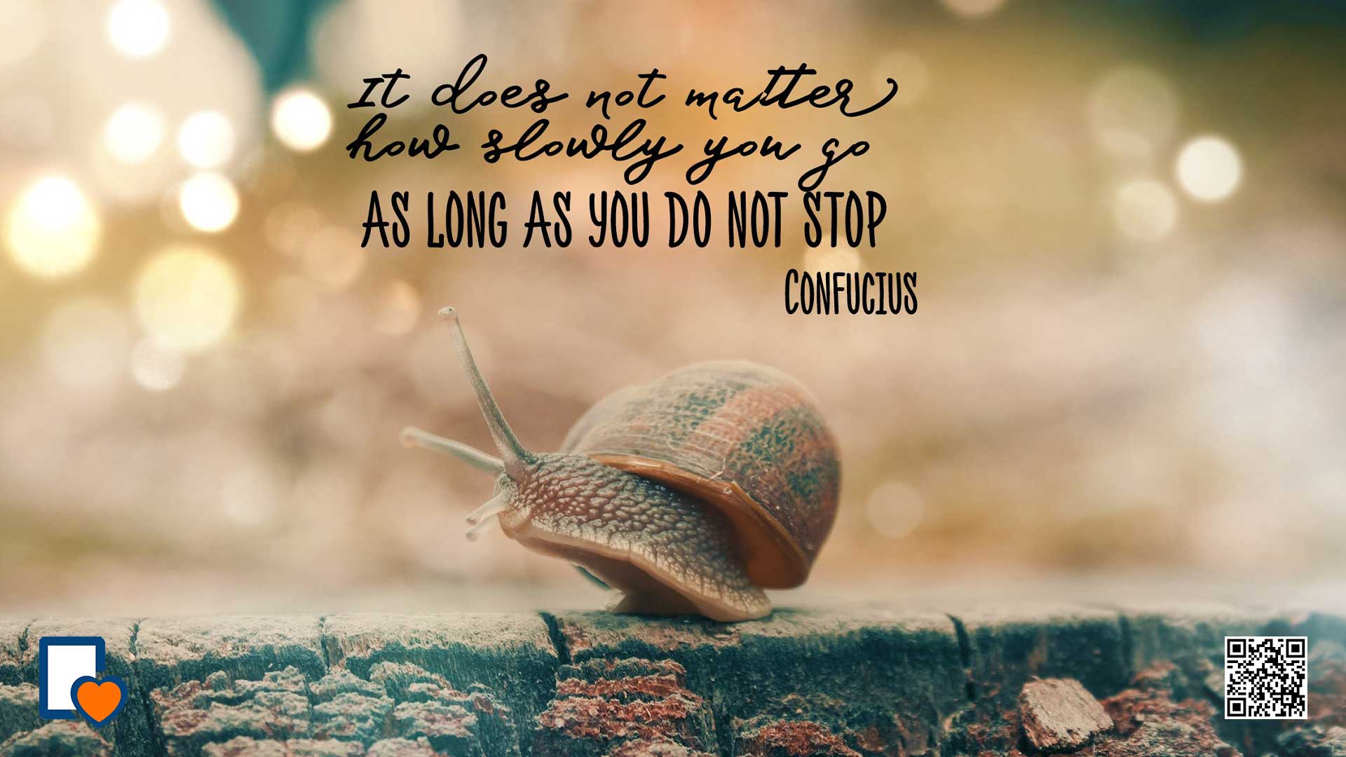 Your Published Book is Inevitable: The Magic of Small Daily Wins
