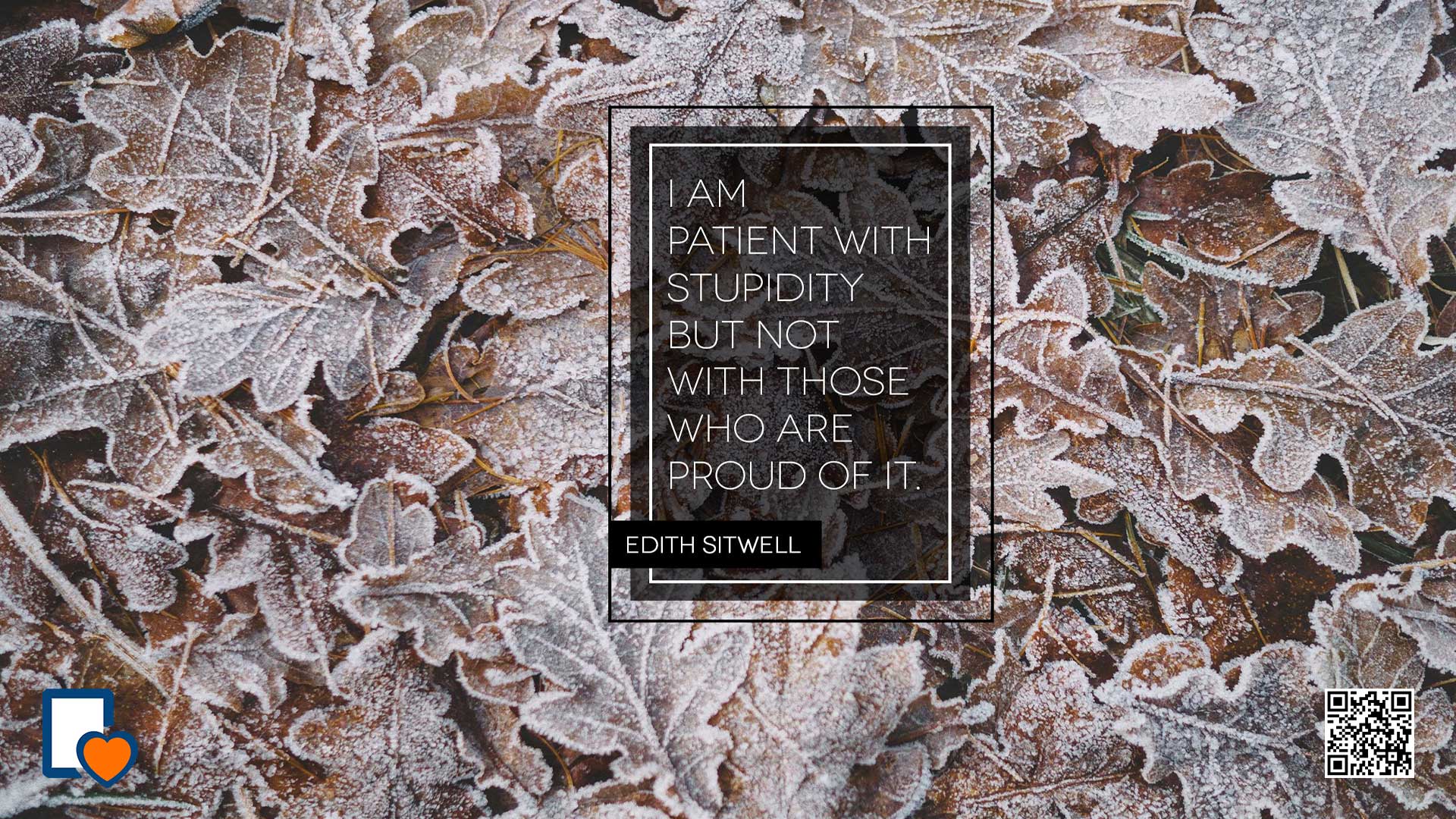 “From Ignorance to Insight: Discover the Power of an Author’s Mindset
