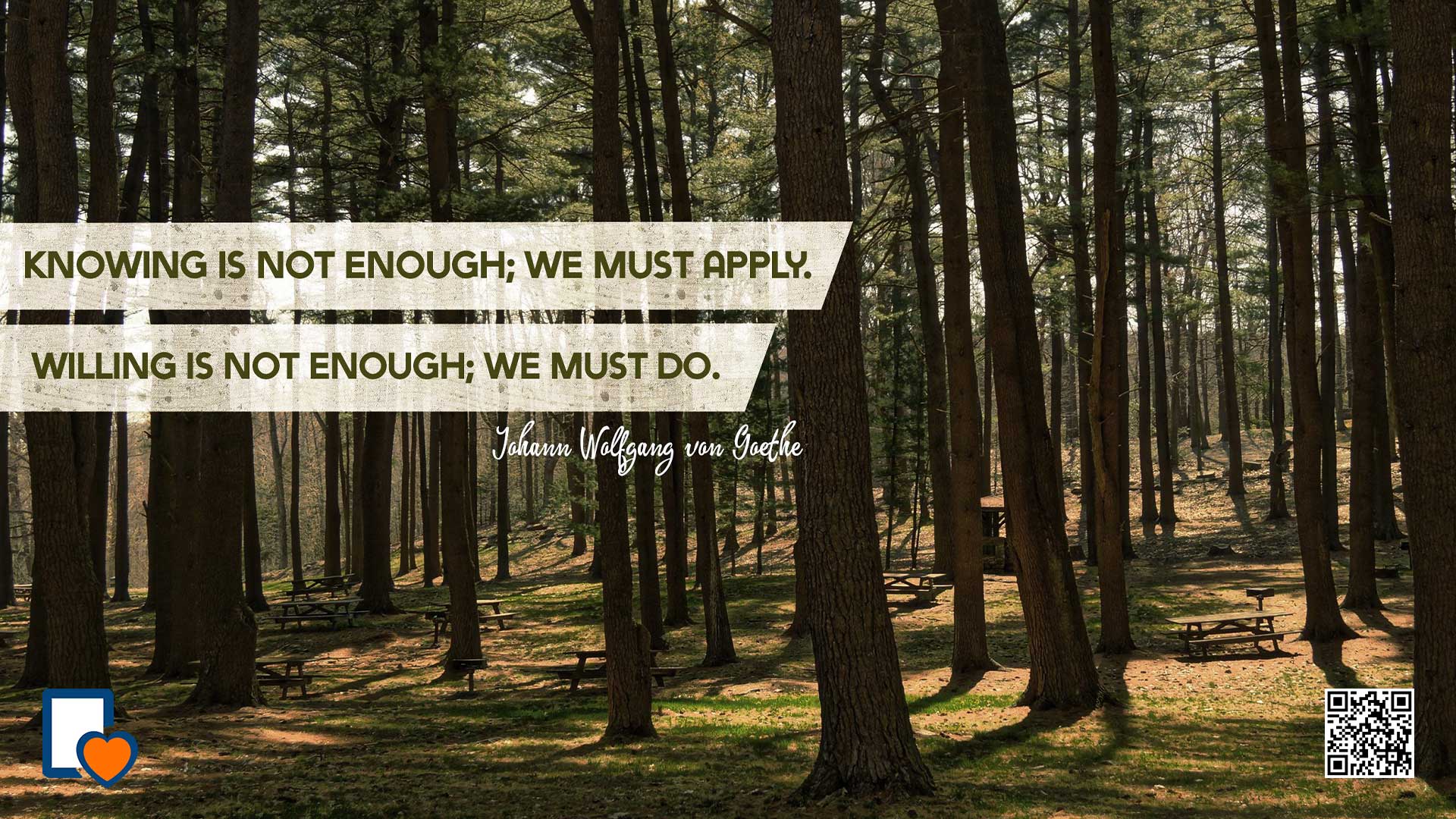 Knowing Is Not Enough, We Must Apply. Willing Is Not Enough, We Must Do. -Johann Wolfgang Von Goethe