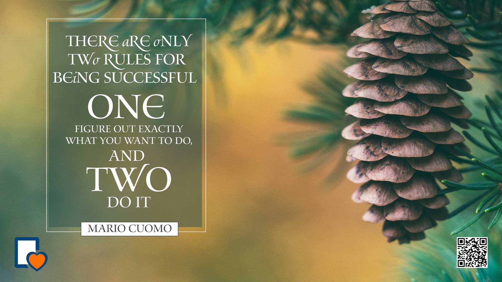 There are only two rules for being successful - One - figure out exactly what you want to do and two - do it. -Mario Cuomo