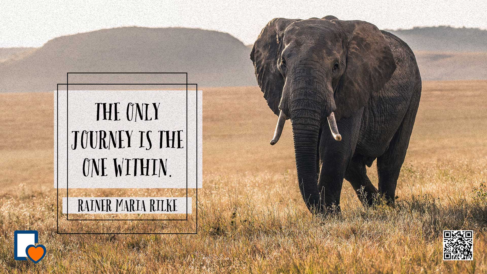 Shifting Mindset, Changing Reality: The Key to Writing Achievement