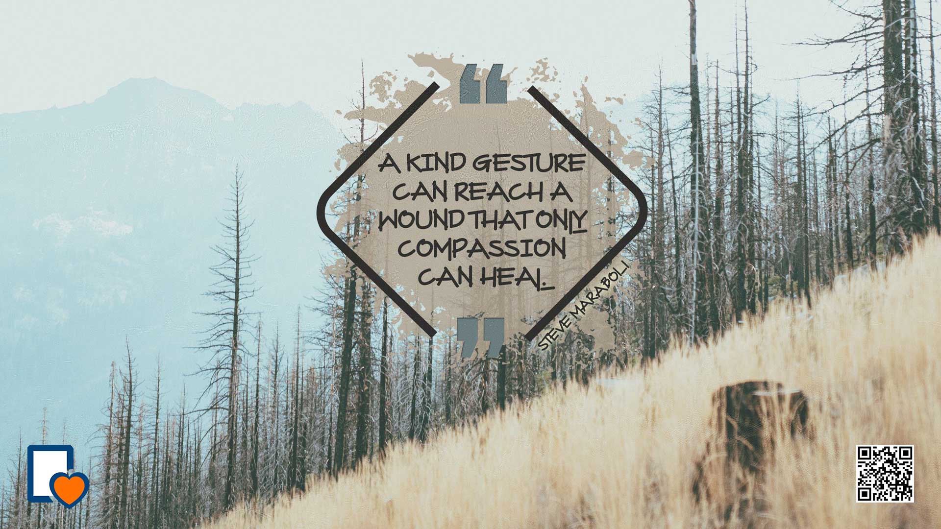 The Healing Power of Compassion: Transforming Lives Through Non-Fiction Writing