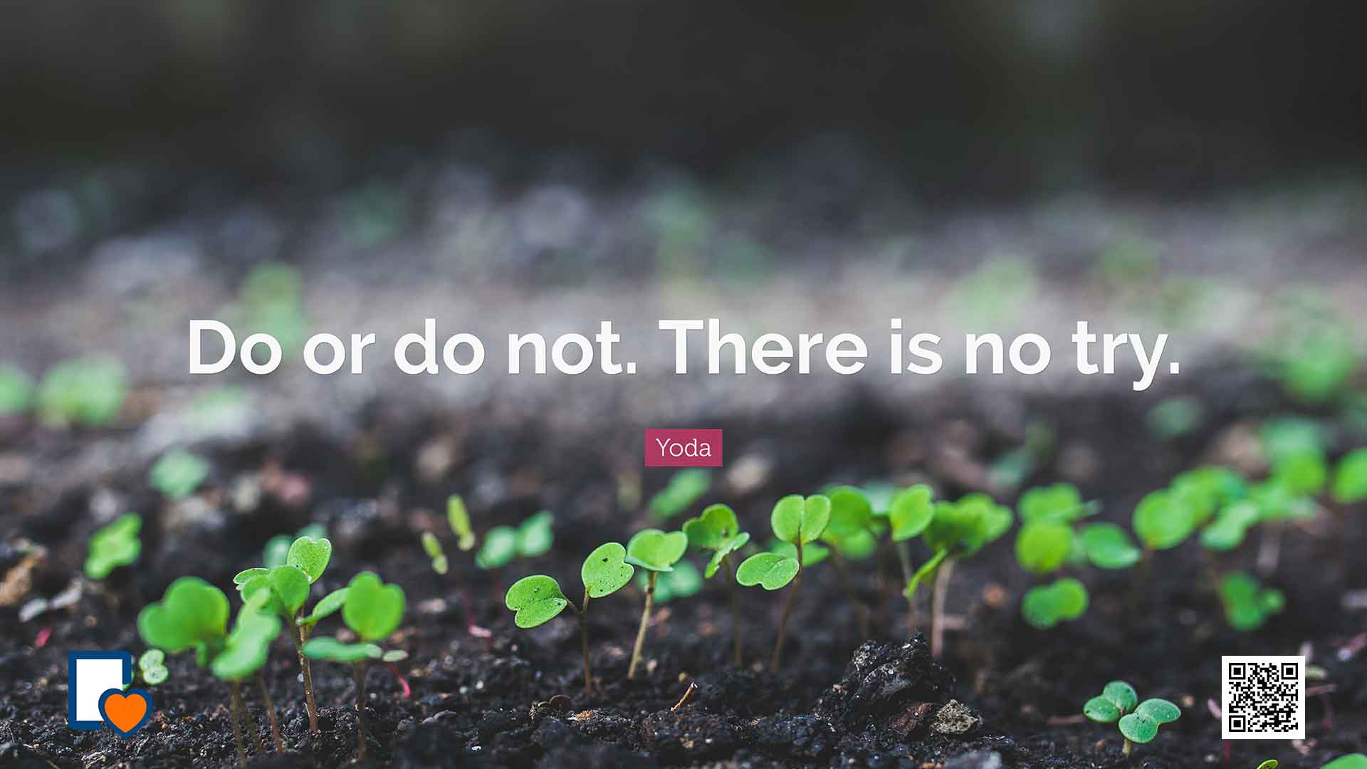 Unleash Your Inner Yoda: Embrace Courage and Take Action