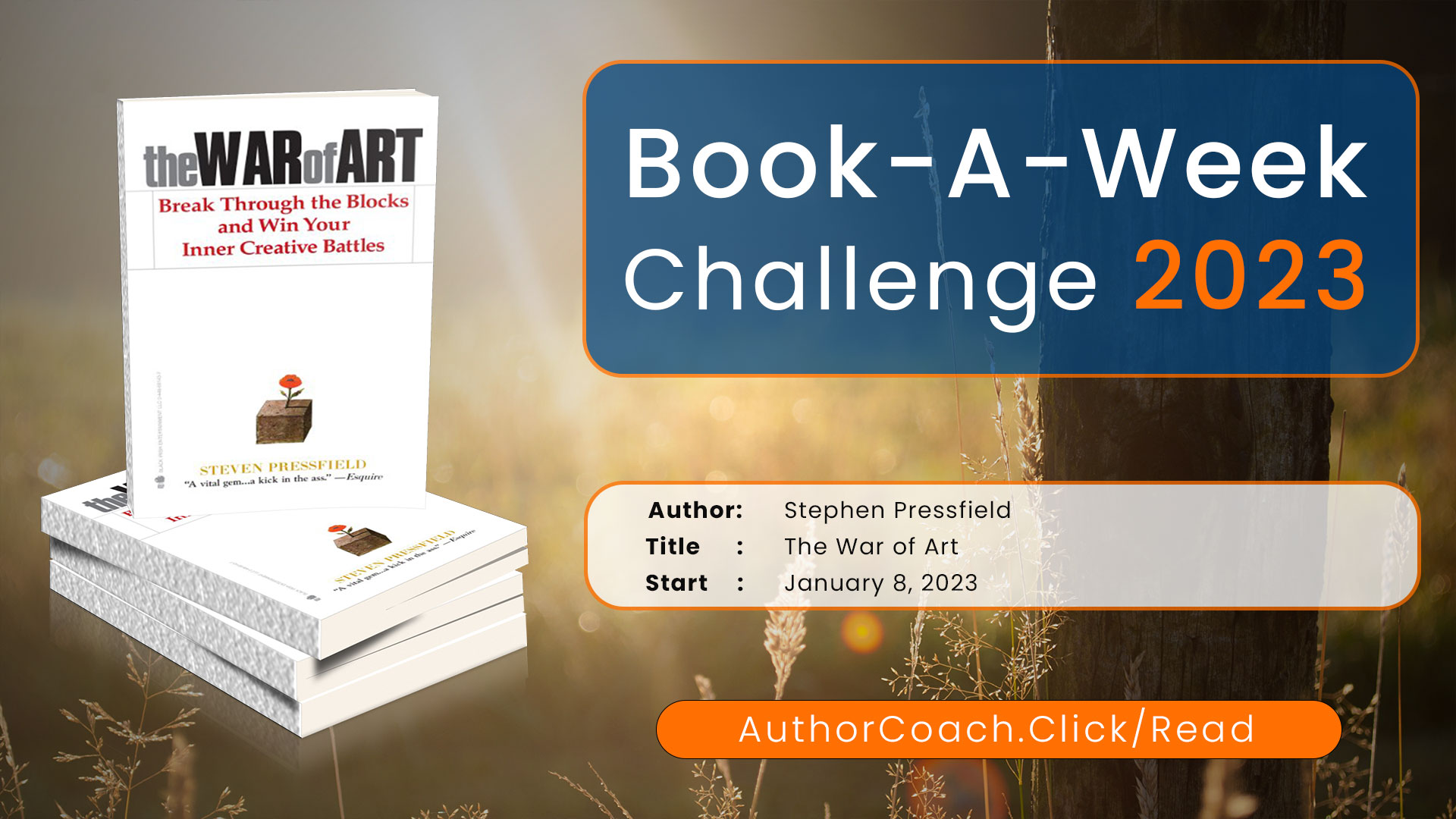 Week of January 8: The War of Art by Stephen Pressfield