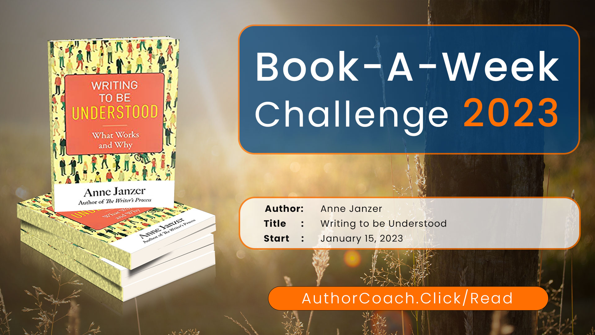 Week of January 15: Writing to be Understood by Anne Janzer
