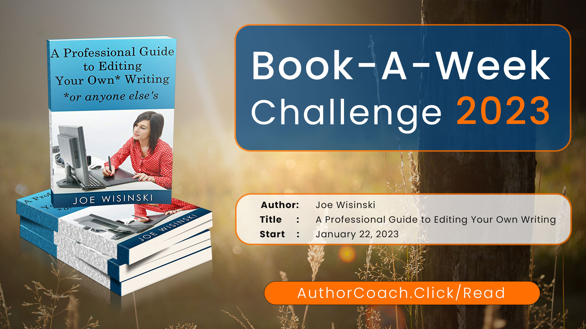 Week of January 22: A Professional Guide to Editing Your Own Writing Or Anyone Else’s by Joe Wisinski