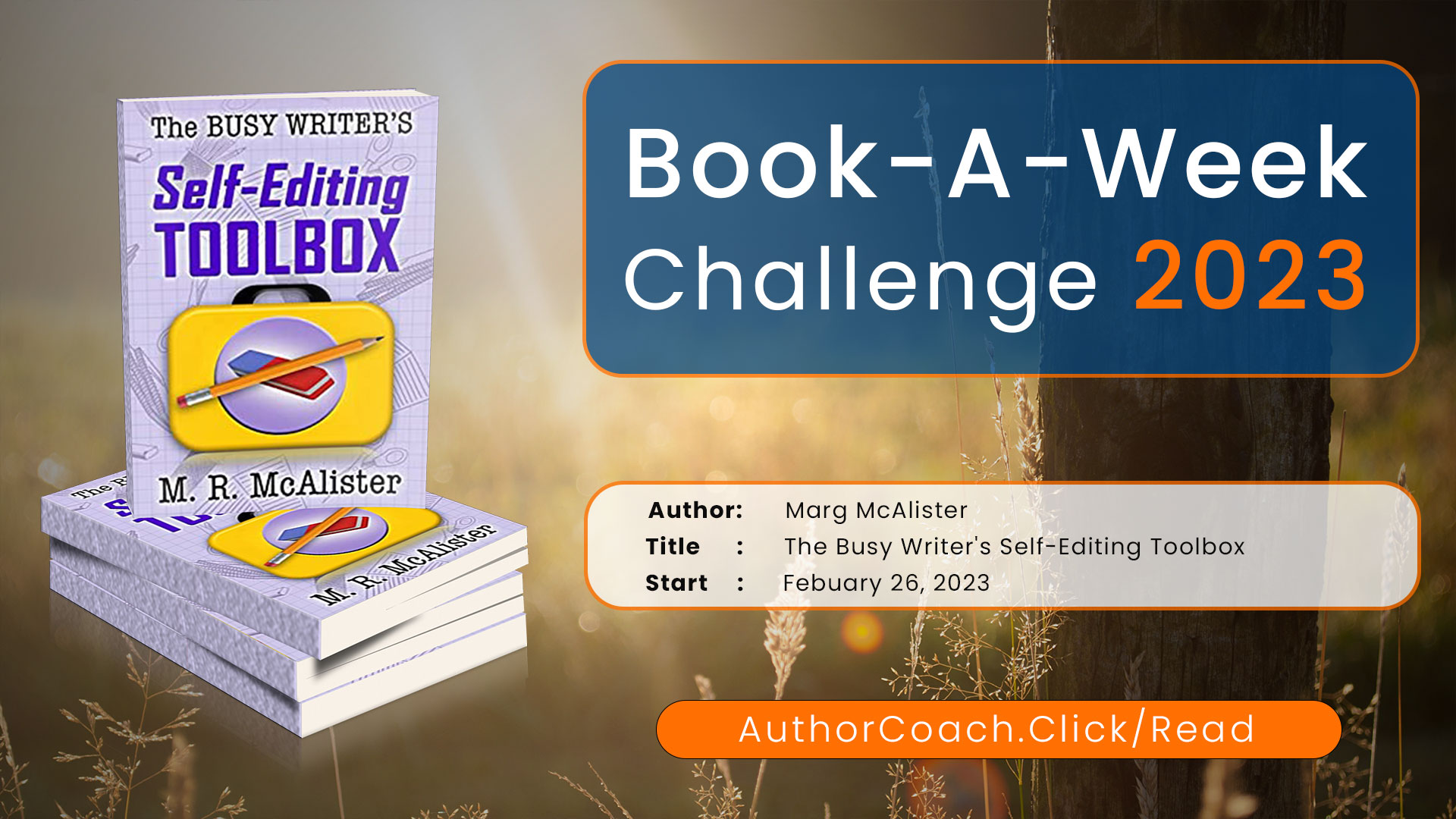 Week of February 26: The Busy Writer’s Self-Editing Toolbox by Marg McAlister