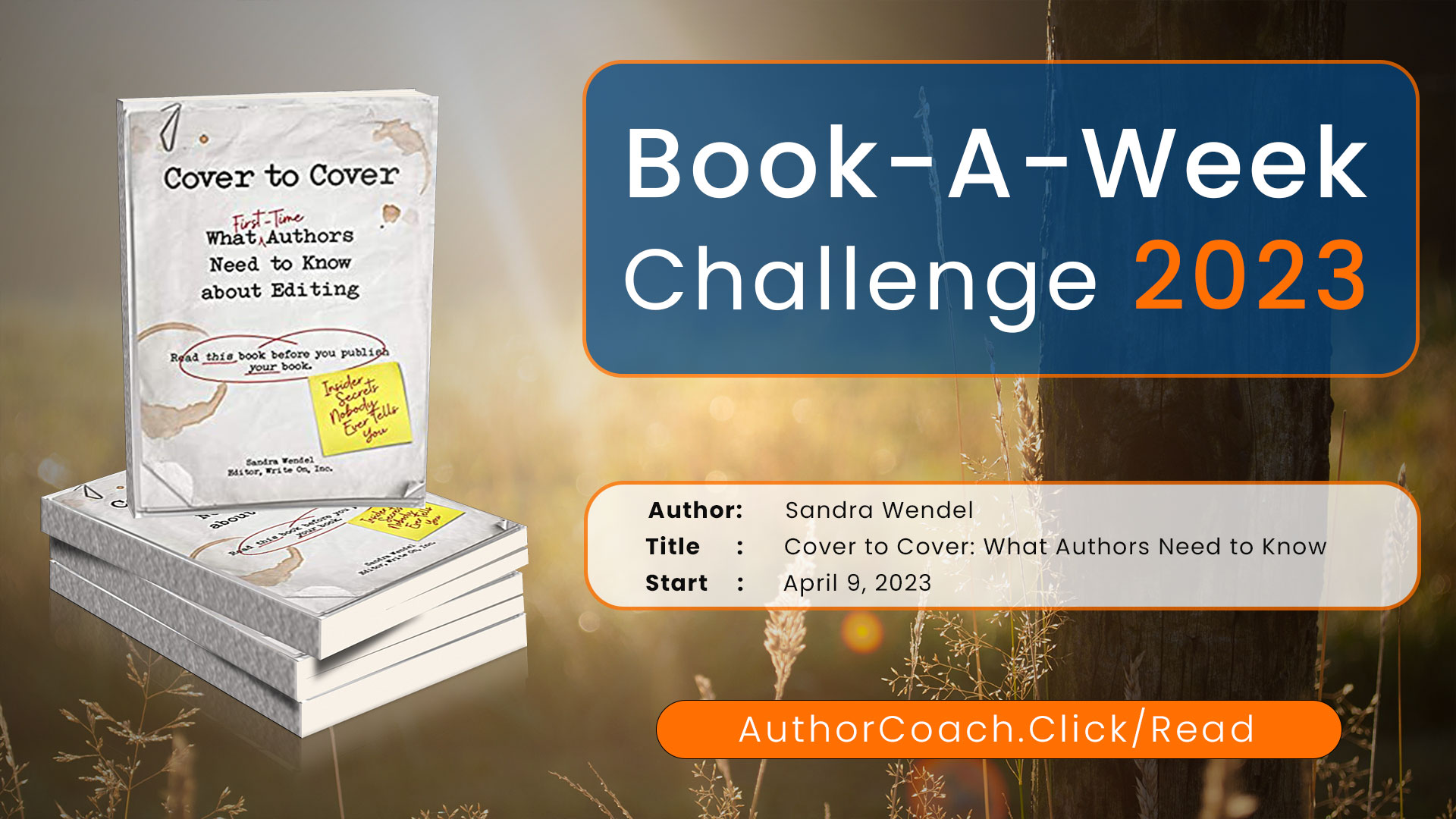Week of April 9: Cover to Cover: What Authors Need to Know about Editing by Sandra Wendel