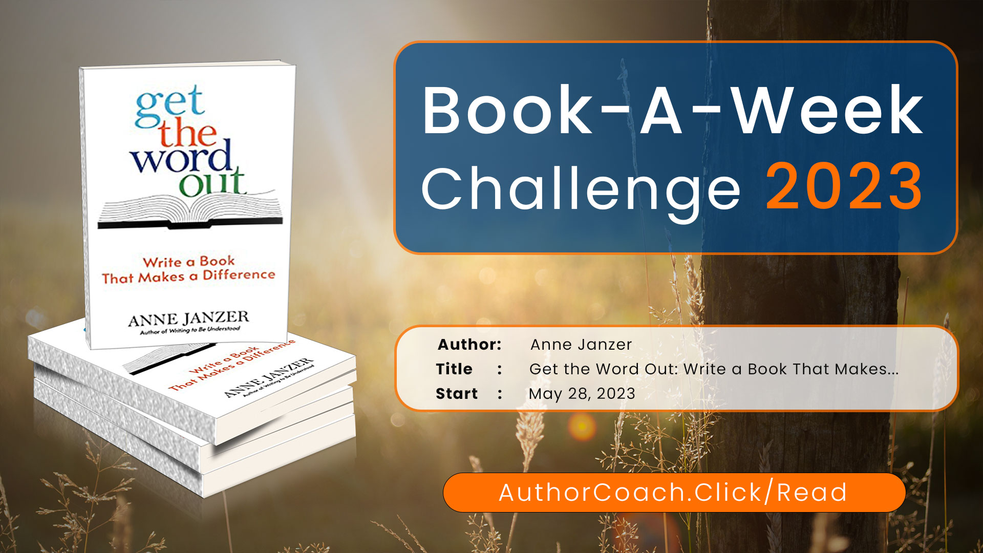 Week of May 28: Get the Word Out by Anne Janzer