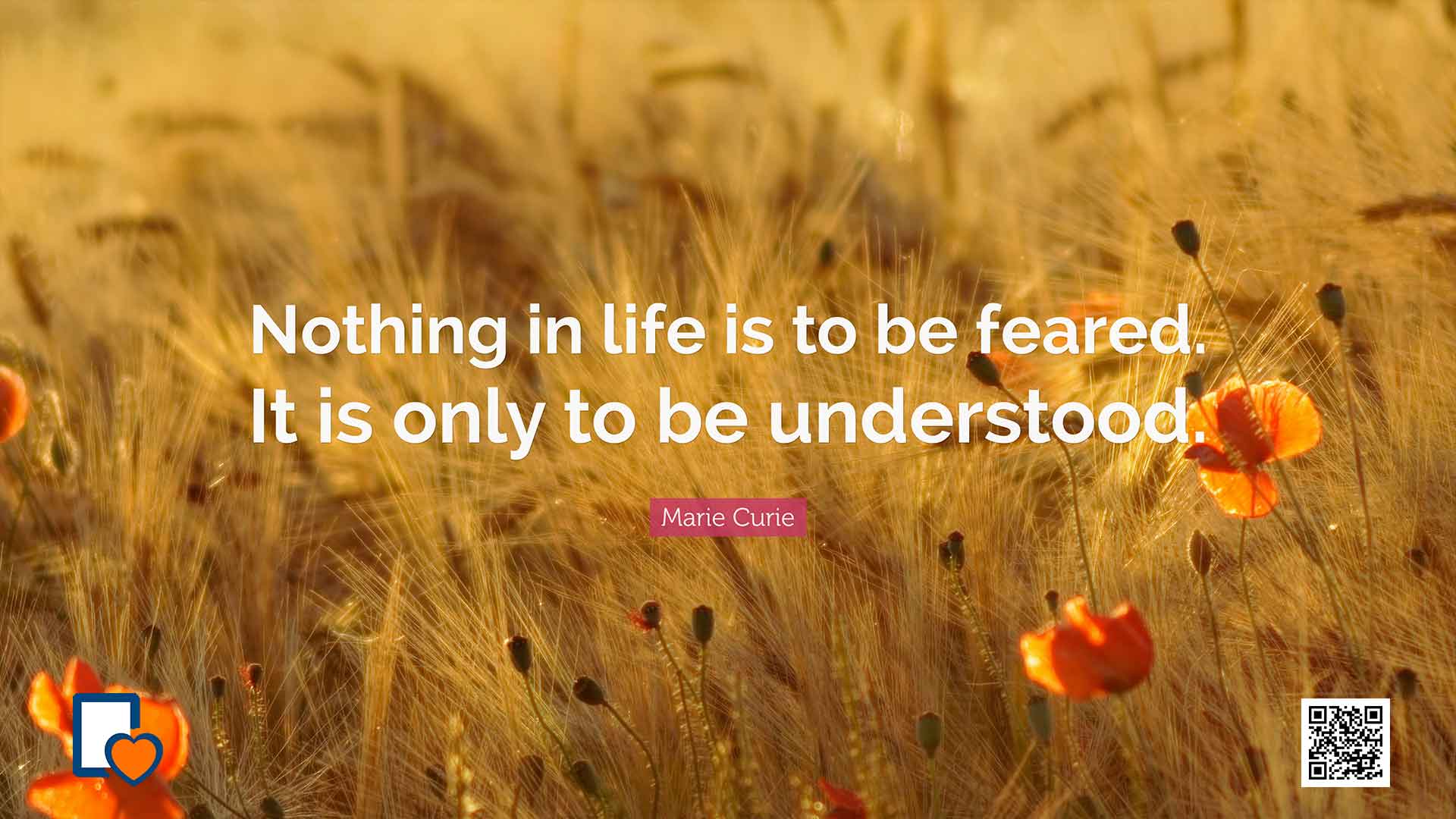 Writing Beyond Fear: Discover the Truth Within You