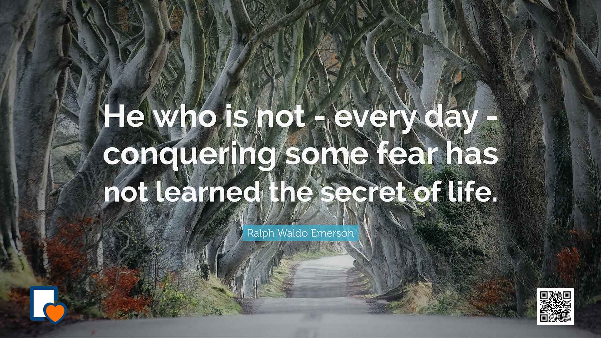 Break Free from Fear: Discover the Secret of Living Fully