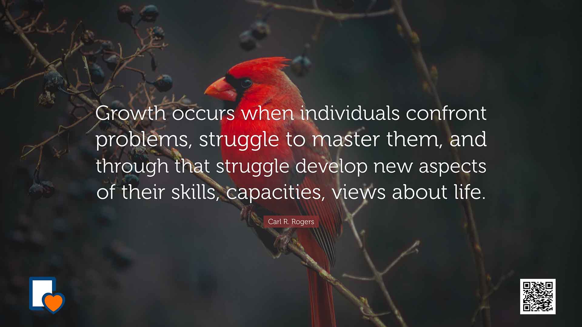 Confront. Struggle. Grow: The Transformative Power of Overcoming Challenges