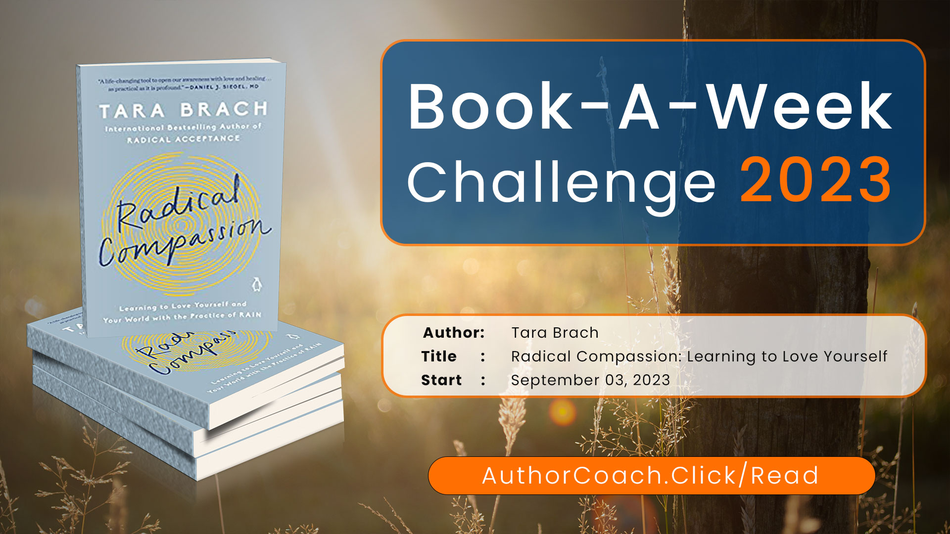 Week on September 3: Radical Compassion by Tara Brach