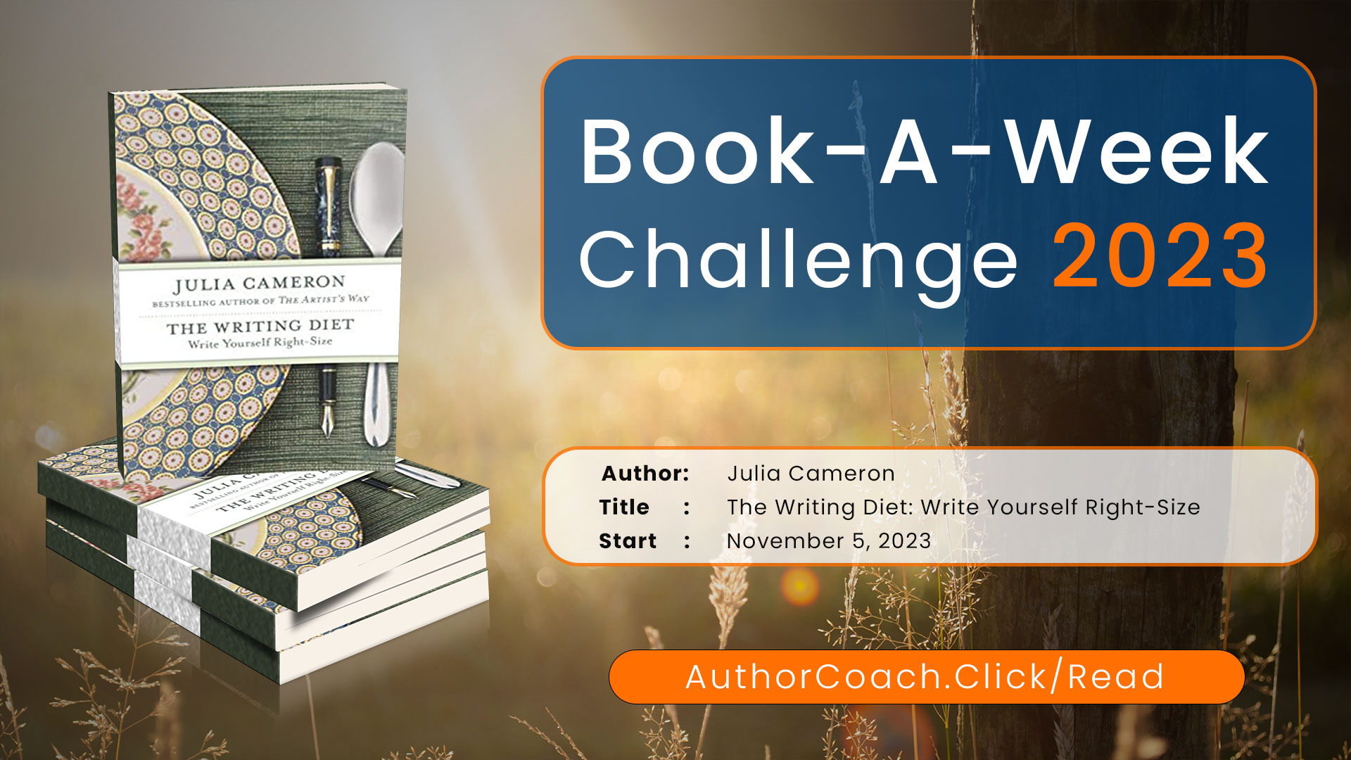 Week of November 5: The Writing Diet by Julia Cameron
