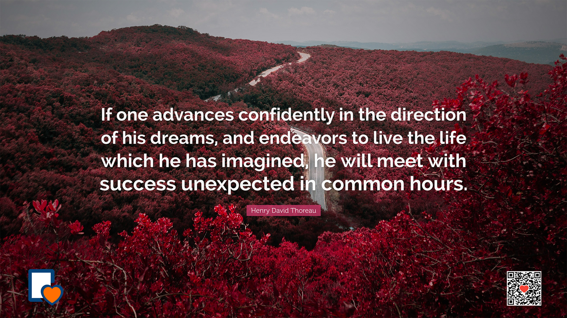The Art of Successful Book Marketing: Align Your Values and Strategy